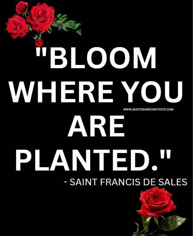 Quotes for empty nesters -- Bloom Where You Are Planted.