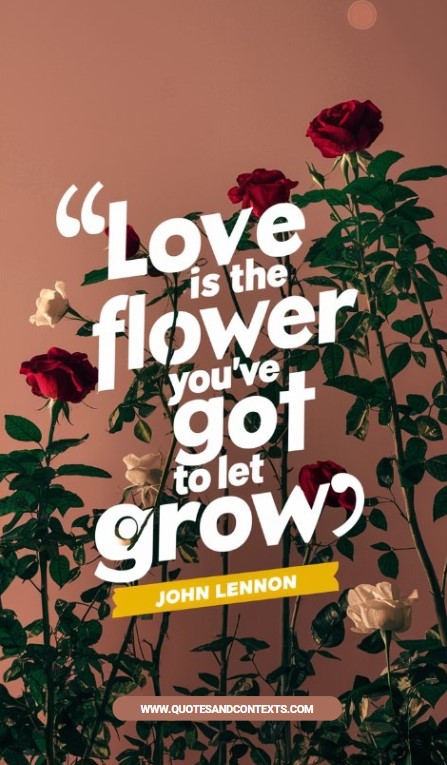 Quotes and Contexts -- Love is the flower you've got to let grow