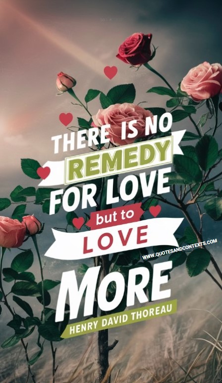 There is no remedy for love but to love more