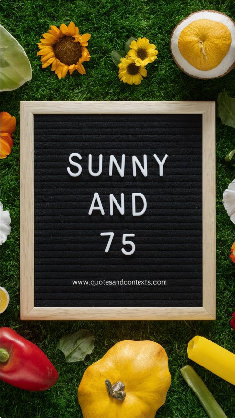 Summer Letter Board - Sunny and 75