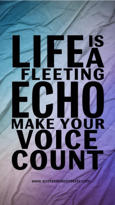 Life is a fleeting echo; make your voice count - Quotes About Life